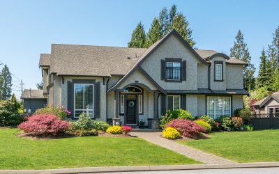 Should You Replace All Your Windows at Once?