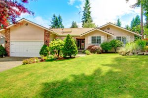 average lifespan of windows