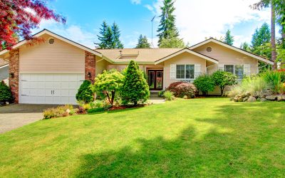 What is the Average Lifespan of Windows & Doors?