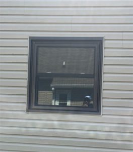 Polaris replacement window