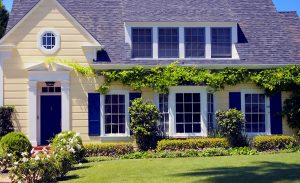 replacing windows with double hung windows