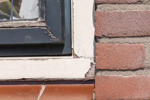 call a window replacement company if you have a rotting window