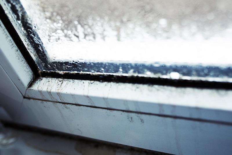 window issues like condensation and failing seams lead to big problems